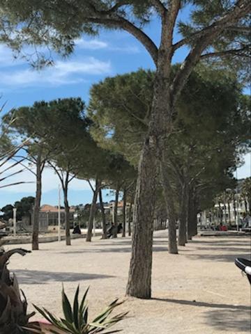 La Ciotat : Superbe Appartement Proche Du Port Kültér fotó